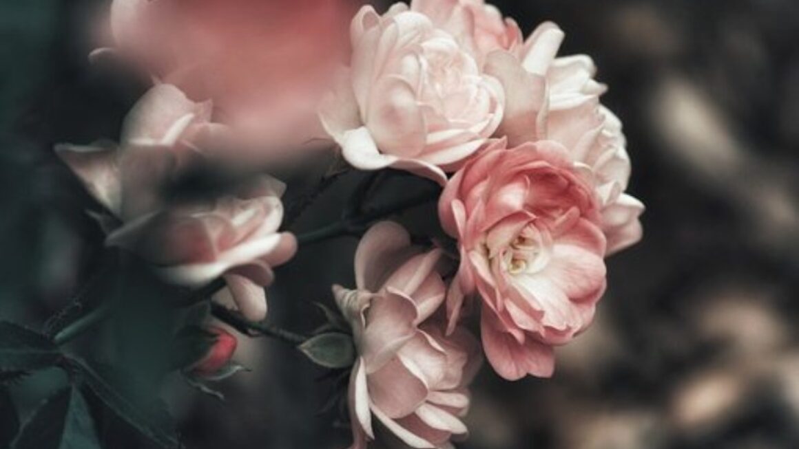 Which Floral Arrangements are Most Popular for Birthdays?